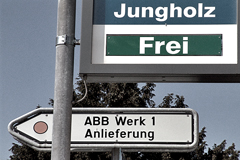 jungholz
